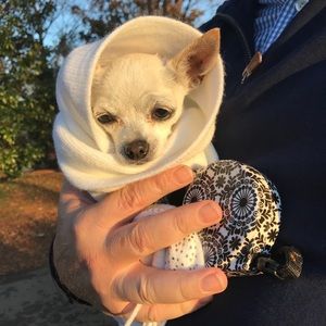 Meet your Posher, Isabella